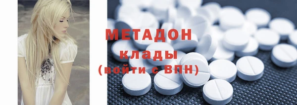 прущие грибы Армянск