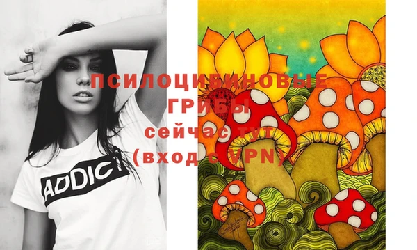 мет Аркадак