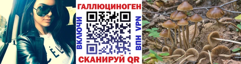 Галлюциногенные грибы мицелий  Красный Холм 